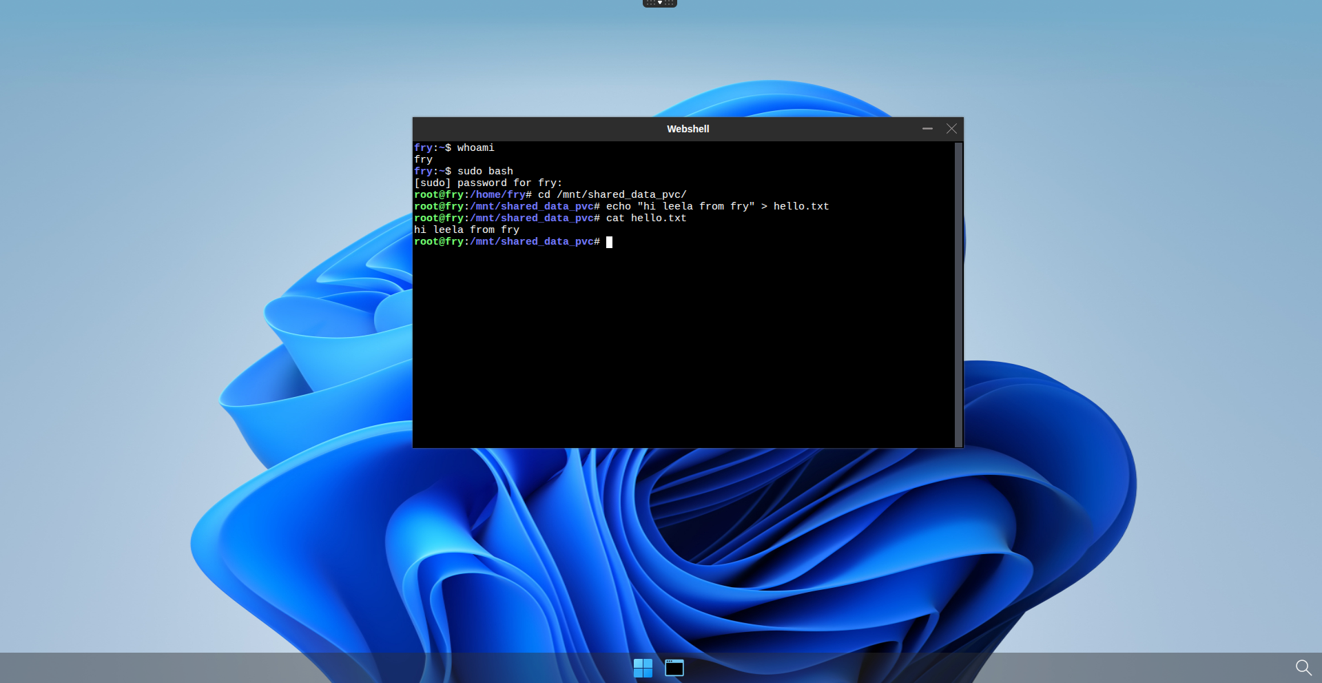 /mnt/shared_data_pvc files