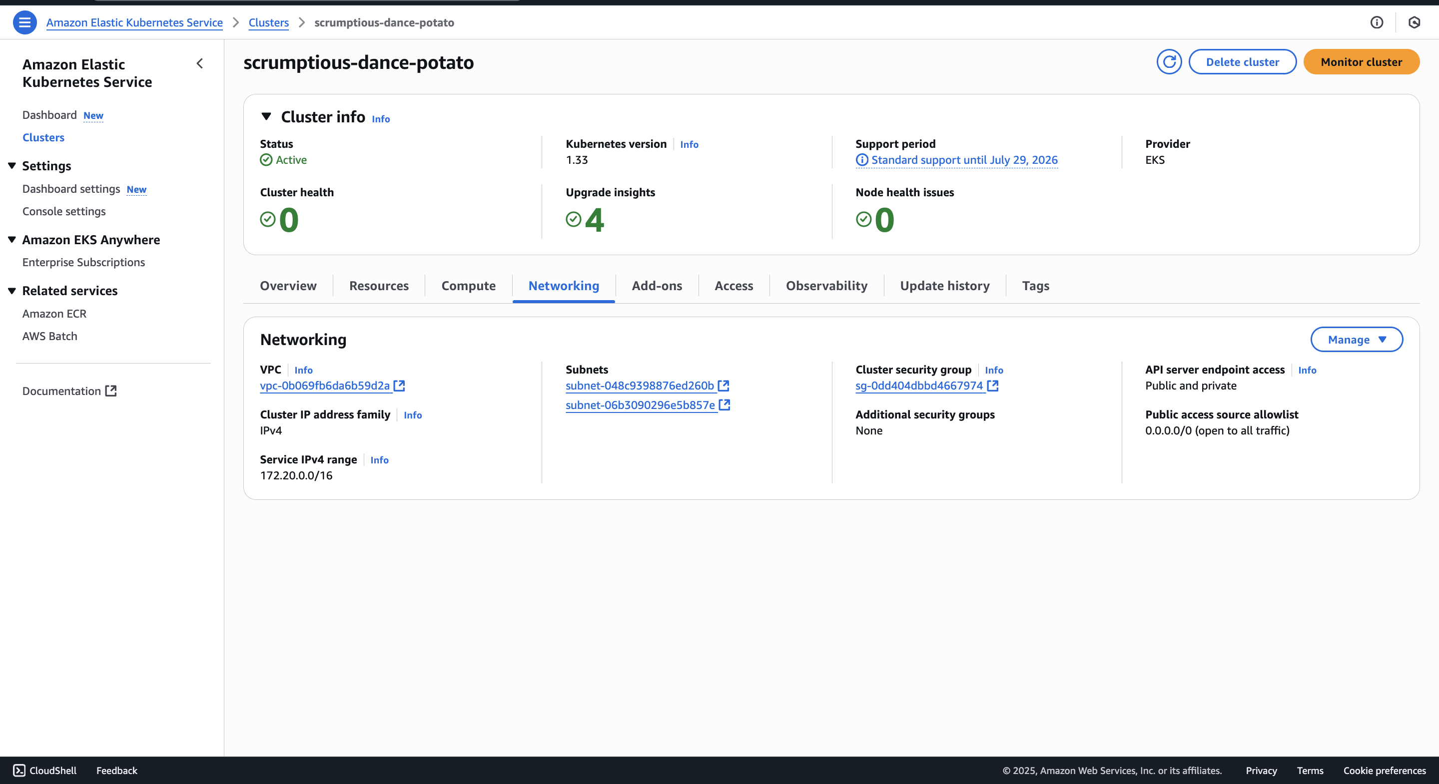 aws eks console overview