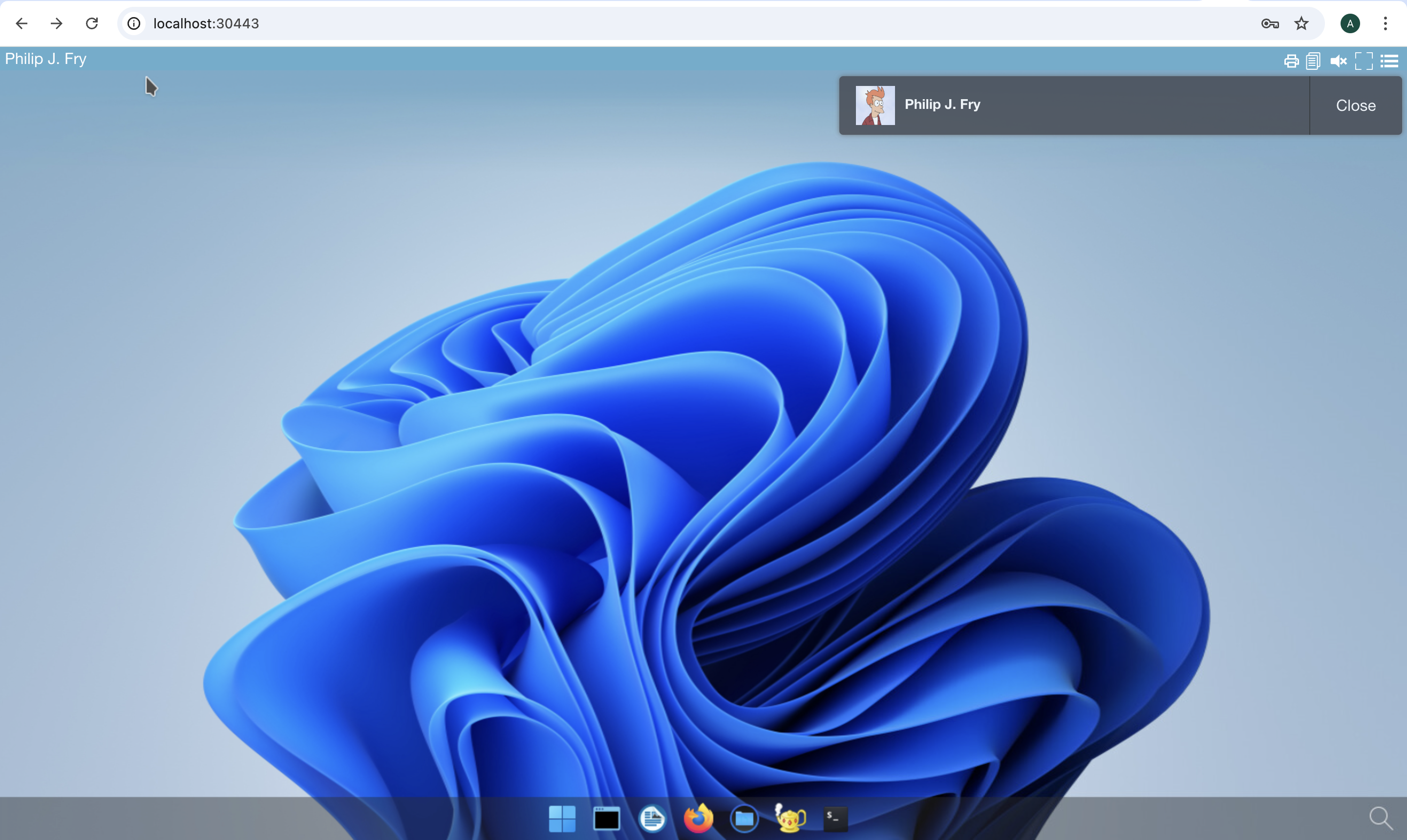 abcdesktop for fry with applications